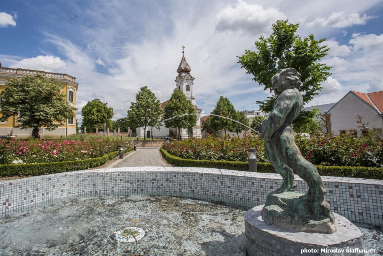 Bed and Breakfast Vila Rosa Vukovar Exterior foto