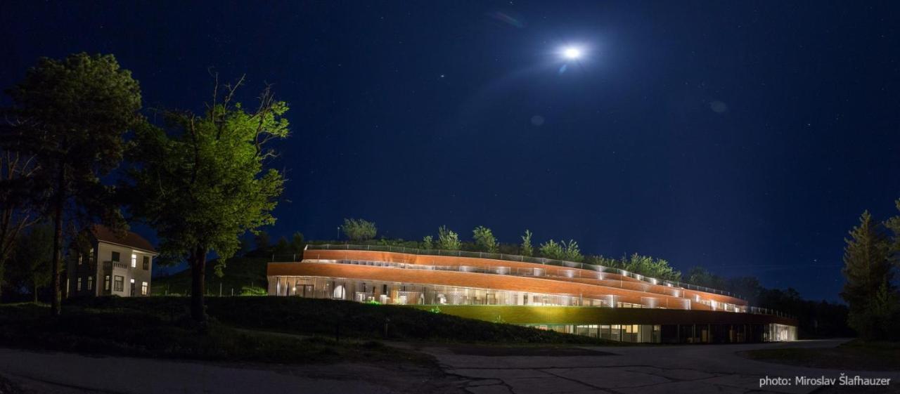 Bed and Breakfast Vila Rosa Vukovar Exterior foto