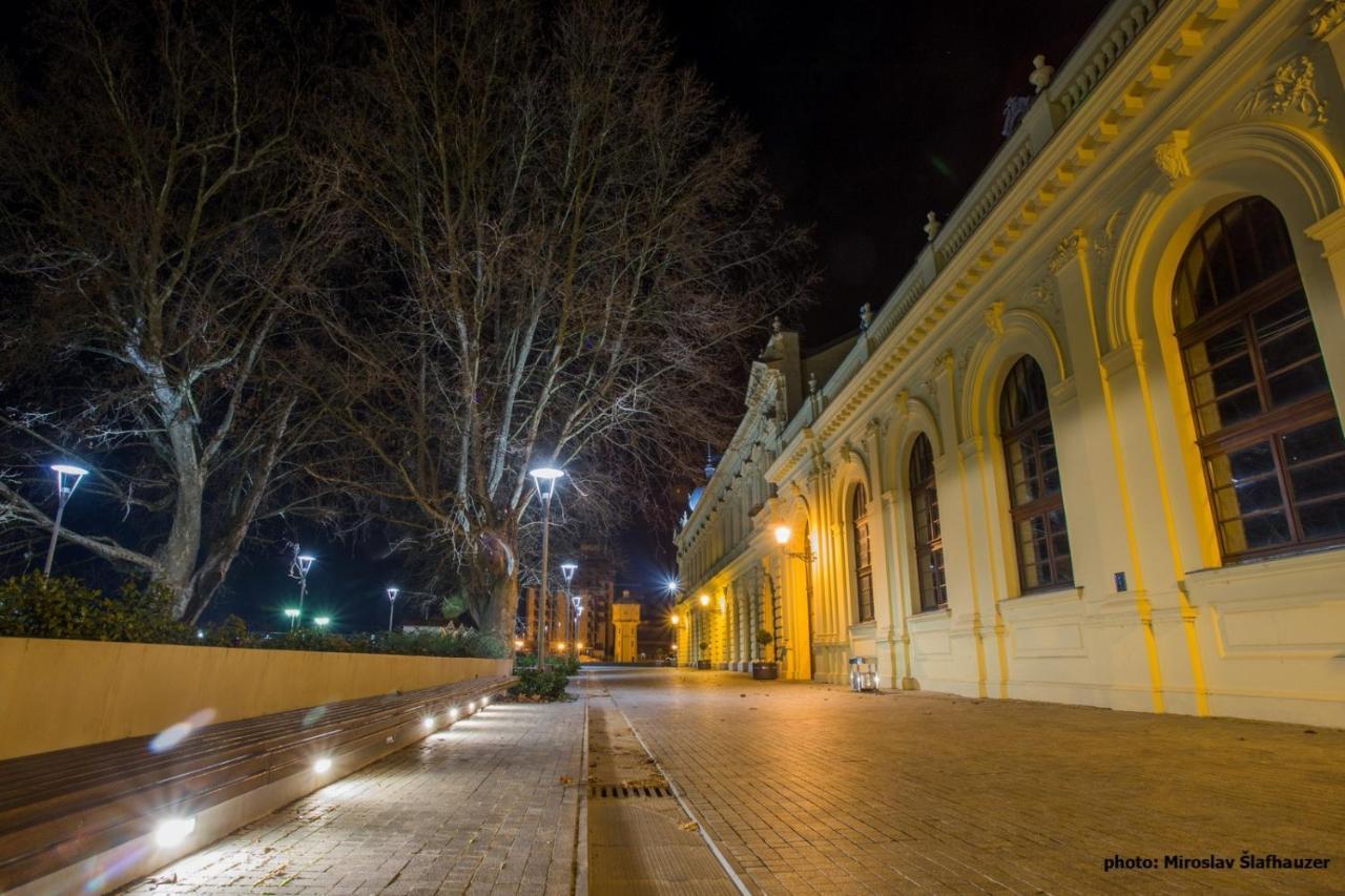 Bed and Breakfast Vila Rosa Vukovar Exterior foto